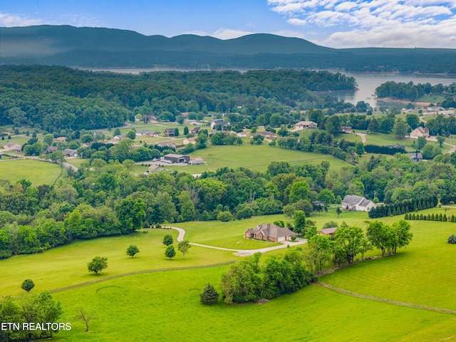 687 Burchfield Rd, Dandridge, TN 37725 - bird's eye view of a mountainous background