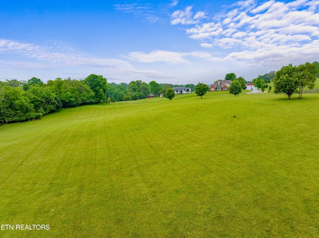 687 Burchfield Rd, Dandridge, TN 37725 - view of green lawn