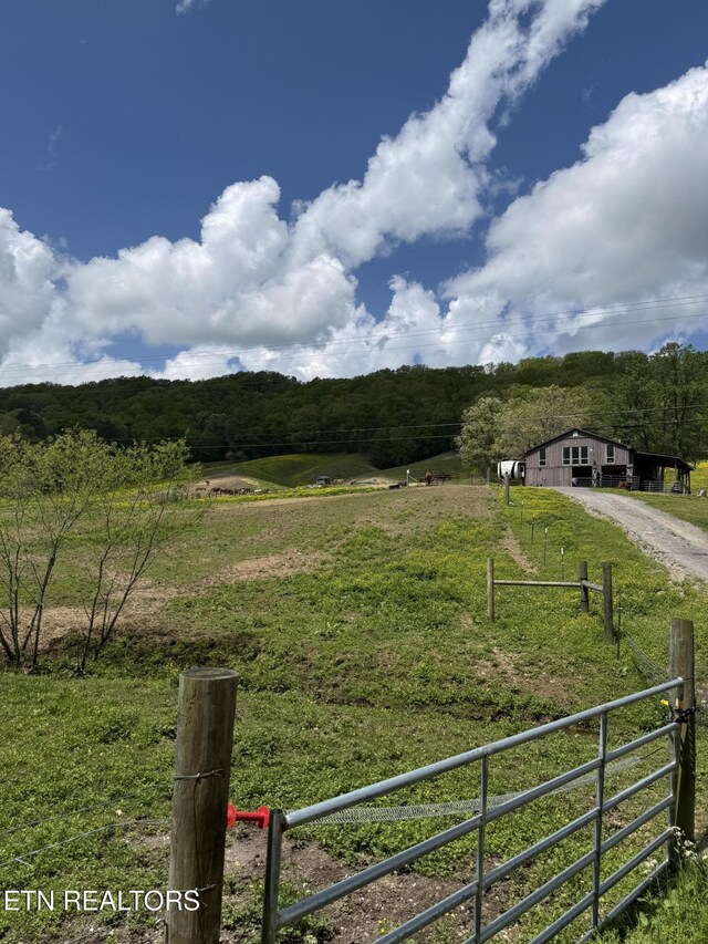view of yard featuring fence, a view of rural / pastoral area, a forest view, and dirt driveway