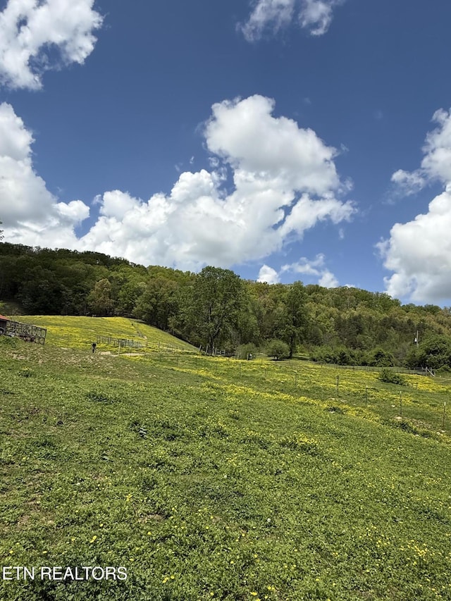 view of wooded area with a rural view