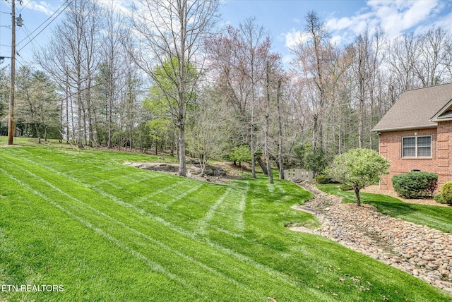 13 Holly Ct, Crossville, TN 38558 - view of grassy yard