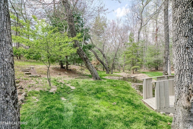 13 Holly Ct, Crossville, TN 38558 - view of grassy yard