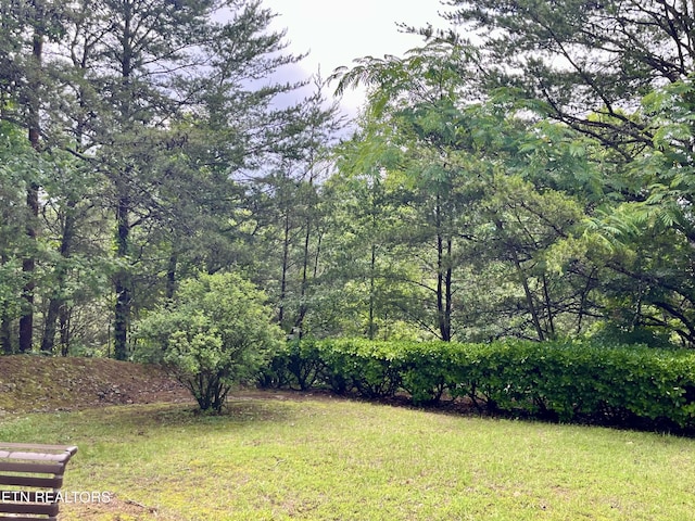 view of grassy yard