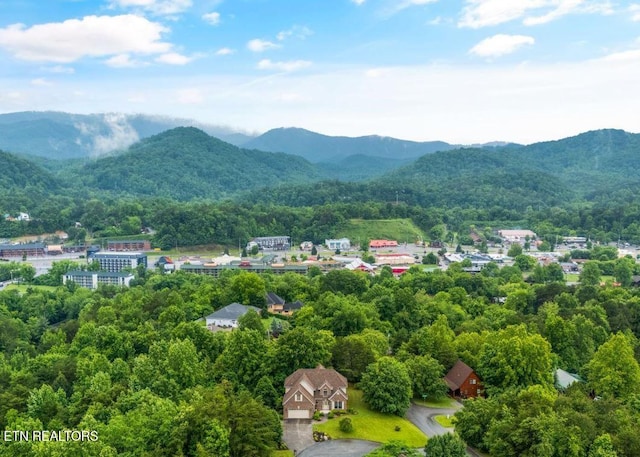 704 Blue Dun Ct, Pigeon Forge, TN 37863 - view of mountain background with a heavily wooded area
