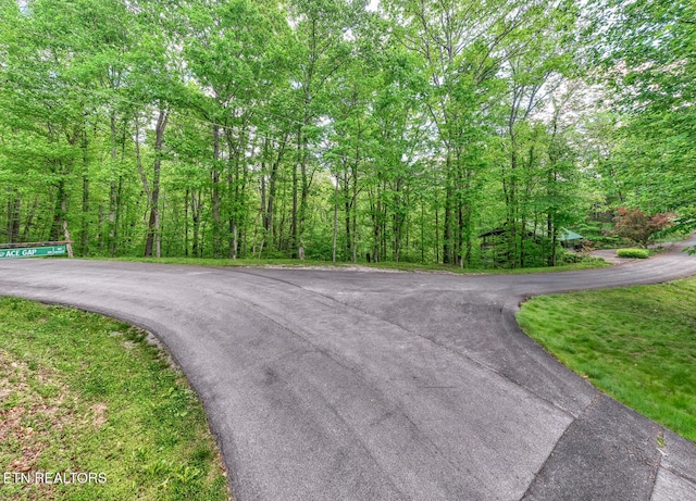 Ace Gap Rd, Townsend, TN 37882
