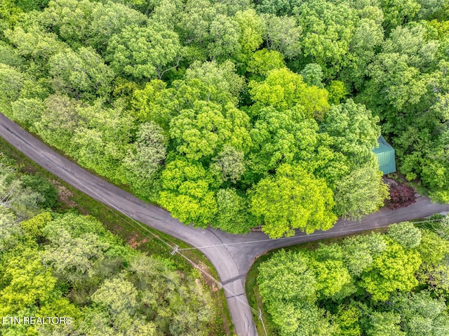 Ace Gap Rd, Townsend, TN 37882