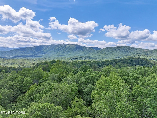 Ace Gap Rd, Townsend, TN 37882