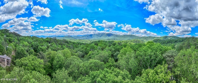 Ace Gap Rd, Townsend, TN 37882