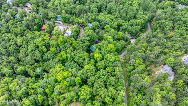 Ace Gap Rd, Townsend, TN 37882
