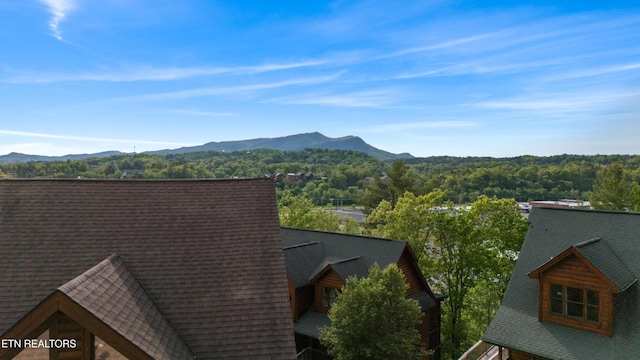 mountain view with a forest
