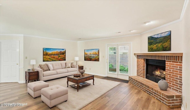 805 Cedar Ln, Knoxville, TN 37912 - photo 2