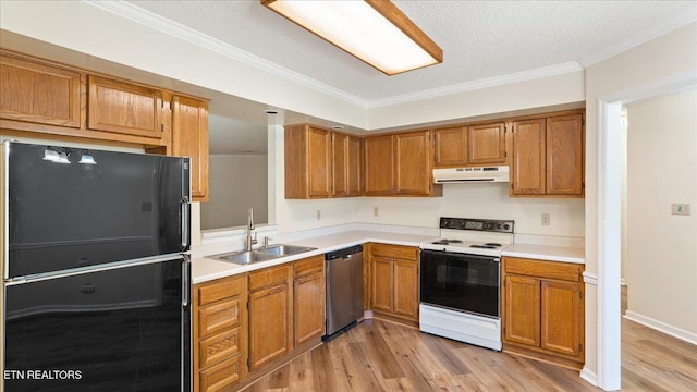 805 Cedar Ln, Knoxville, TN 37912 - photo 9