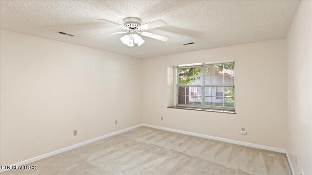 805 Cedar Ln, Knoxville, TN 37912 - photo 15