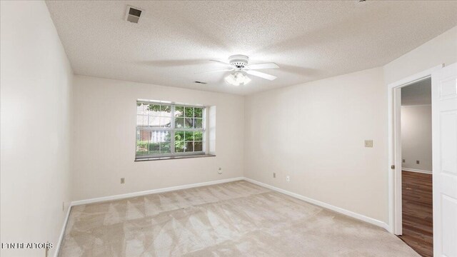 805 Cedar Ln, Knoxville, TN 37912 - photo 17