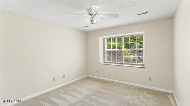 805 Cedar Ln, Knoxville, TN 37912 - photo 22