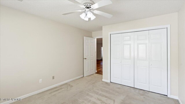 805 Cedar Ln, Knoxville, TN 37912 - photo 23