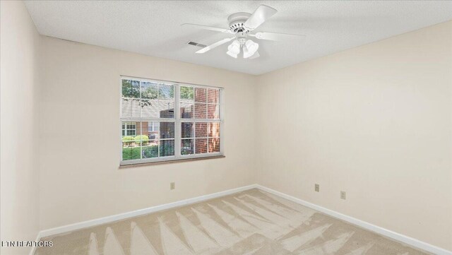 805 Cedar Ln, Knoxville, TN 37912 - photo 25