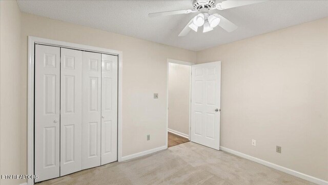 805 Cedar Ln, Knoxville, TN 37912 - photo 26