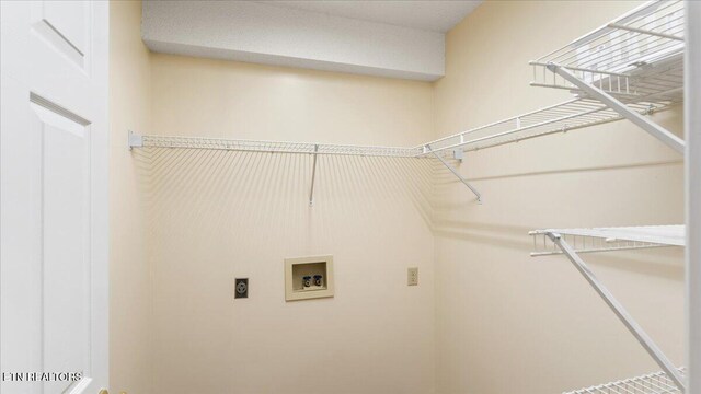 805 Cedar Ln, Knoxville, TN 37912 - photo 27