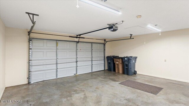 805 Cedar Ln, Knoxville, TN 37912 - photo 28