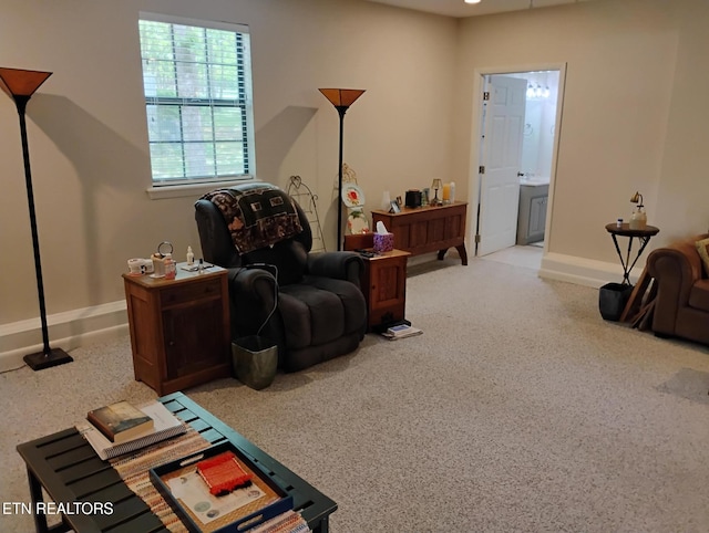 107 Howard Ter, Crossville, TN 38558 - photo 14