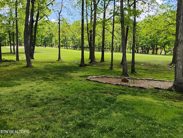 107 Howard Ter, Crossville, TN 38558 - photo 5