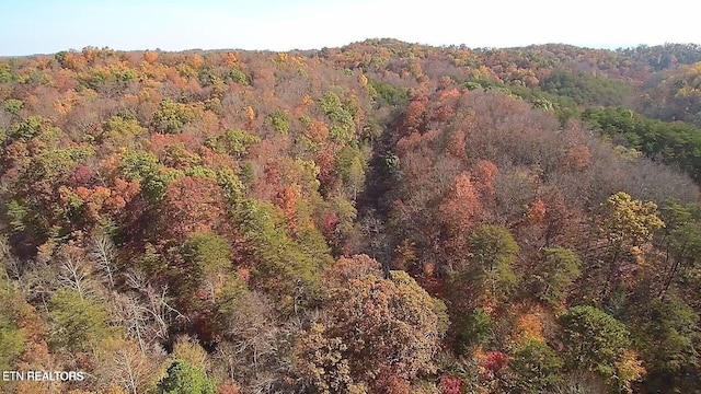 2644 Union Hill Rd, Parrottsville, TN 37843