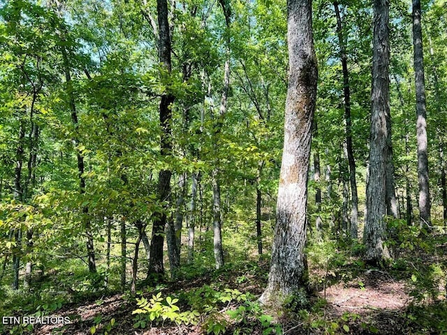 2644 Union Hill Rd, Parrottsville, TN 37843