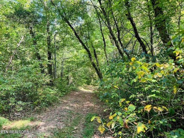 2644 Union Hill Rd, Parrottsville, TN 37843