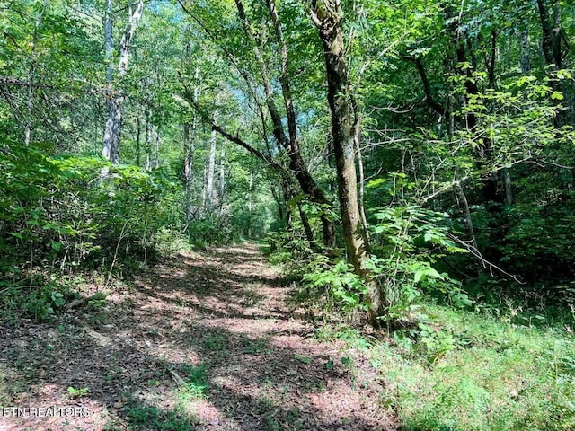 2644 Union Hill Rd, Parrottsville, TN 37843