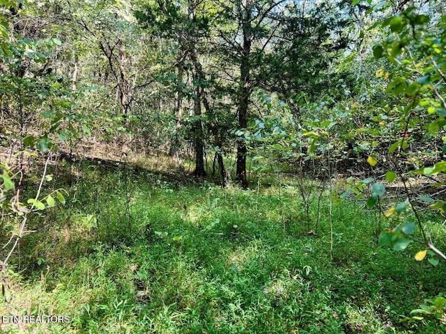 2644 Union Hill Rd, Parrottsville, TN 37843