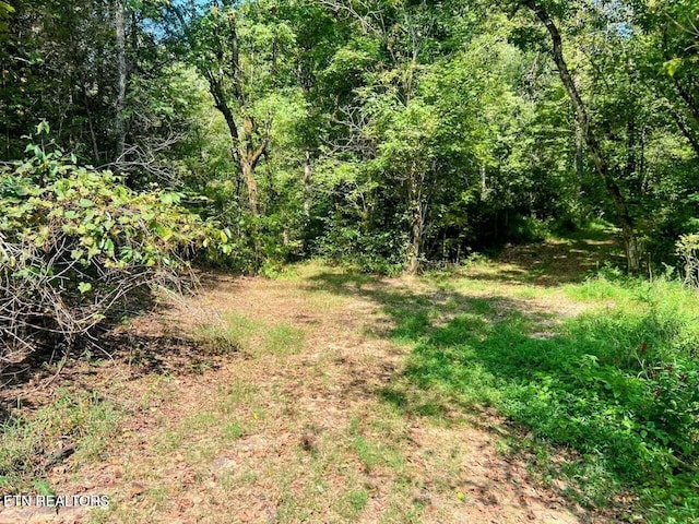 2644 Union Hill Rd, Parrottsville, TN 37843