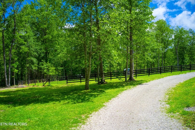 240 Crockett Creek Dr, Jamestown, TN 38556 - photo 43