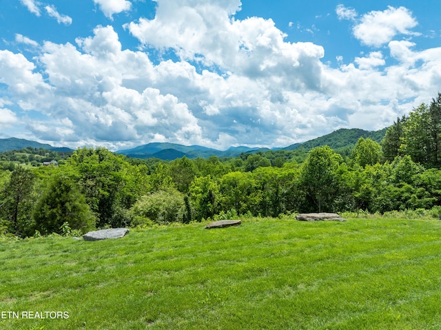 229 Bishops Cap Cir Unit 106, Townsend, TN 37882 - view of mountain backdrop