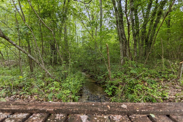 1563 Oren White Rd, Lenoir City, TN 37771
