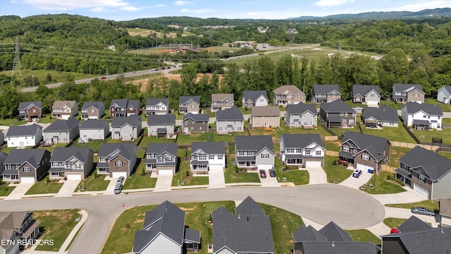 aerial view of residential area