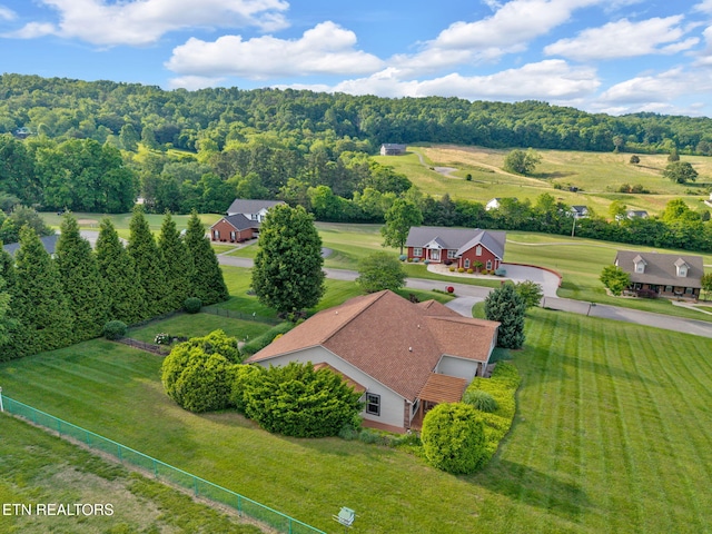 791 Constitution Dr, Jefferson City, TN 37760 - view from above of property