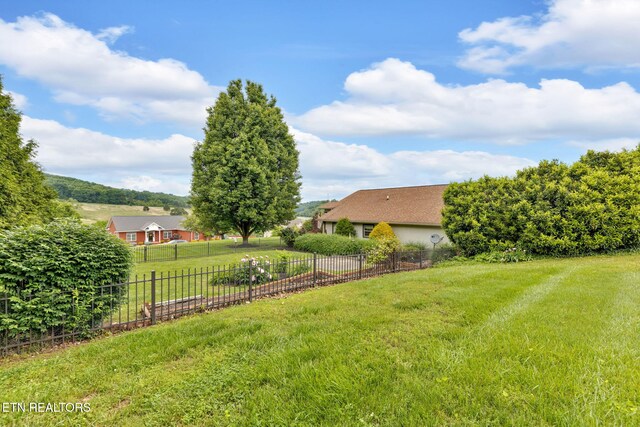 791 Constitution Dr, Jefferson City, TN 37760 - view of yard with driveway