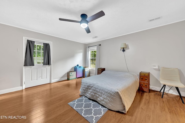 791 Constitution Dr, Jefferson City, TN 37760 - bedroom featuring wood finished floors, multiple windows, ornamental molding, baseboards, and a textured ceiling