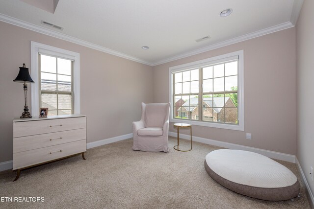 3336 Beaver Glade Ln, Knoxville, TN 37931 - sitting room featuring plenty of natural light, ornamental molding, baseboards, and carpet floors