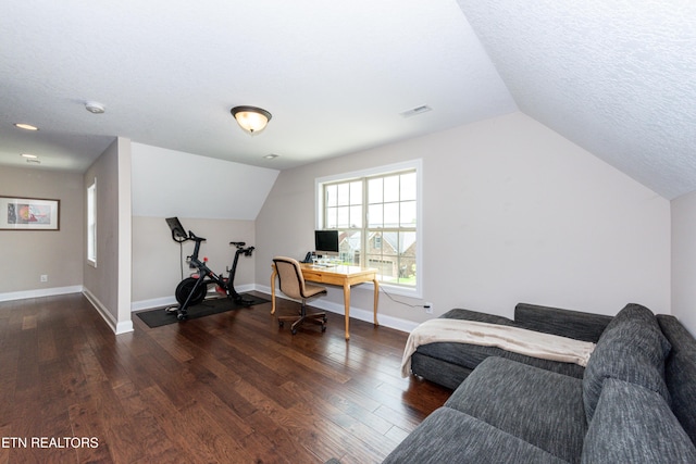 3336 Beaver Glade Ln, Knoxville, TN 37931 - home office featuring vaulted ceiling, baseboards, wood finished floors, and a textured ceiling