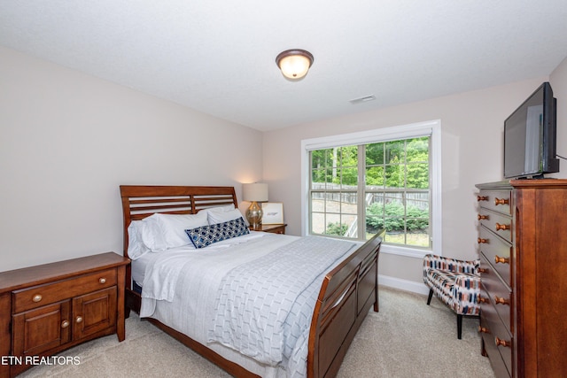 3336 Beaver Glade Ln, Knoxville, TN 37931 - bedroom featuring light colored carpet and baseboards