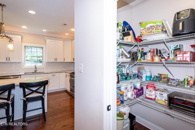 3336 Beaver Glade Ln, Knoxville, TN 37931 - storage area with a sink
