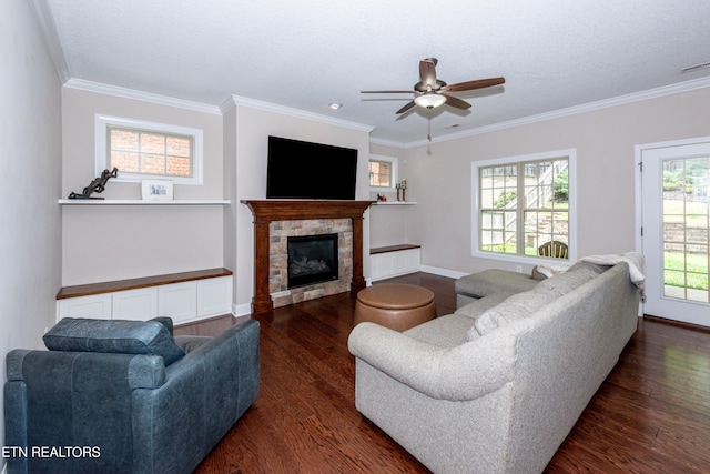 3336 Beaver Glade Ln, Knoxville, TN 37931 - living room with dark wood-type flooring, crown molding, a ceiling fan, a glass covered fireplace, and baseboards