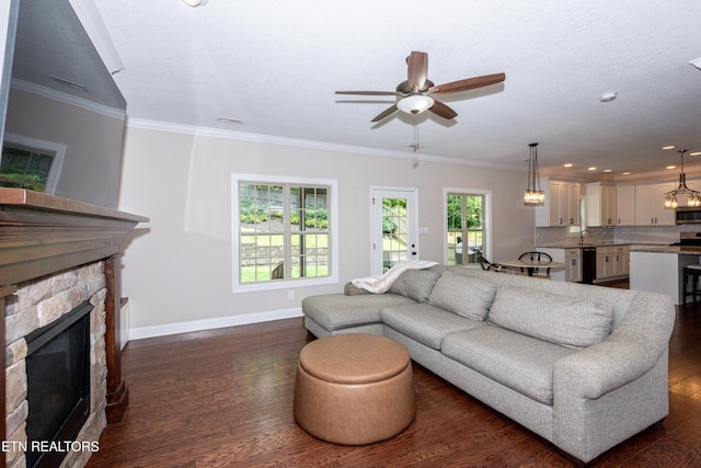 3336 Beaver Glade Ln, Knoxville, TN 37931 - living area with baseboards, ceiling fan, dark wood-type flooring, a stone fireplace, and crown molding