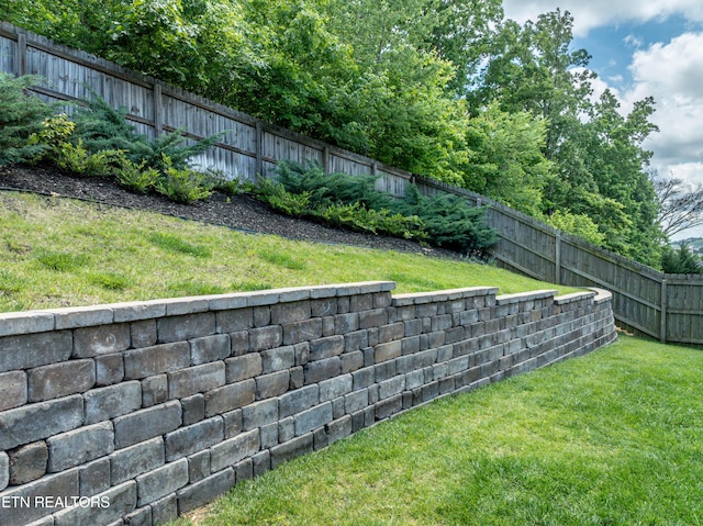 3336 Beaver Glade Ln, Knoxville, TN 37931 - view of yard