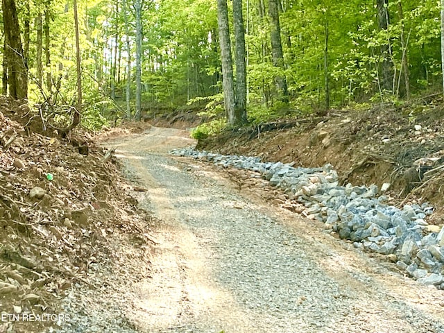 1200 Steer Creek Rd, Tellico Plains, TN 37385 - photo 20