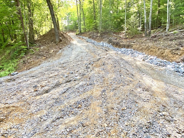 1200 Steer Creek Rd, Tellico Plains, TN 37385 - photo 21