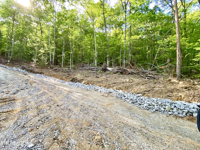 1200 Steer Creek Rd, Tellico Plains, TN 37385 - photo 23