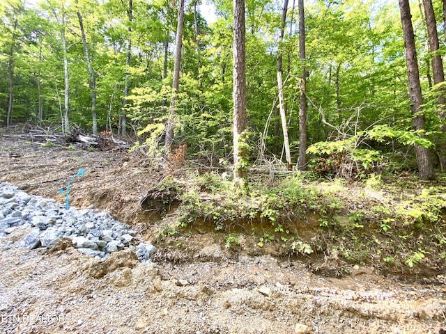 1200 Steer Creek Rd, Tellico Plains, TN 37385 - photo 24